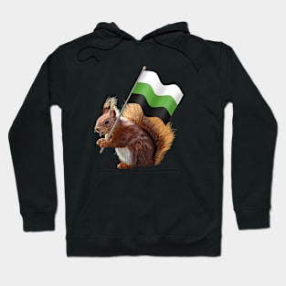 Red Squirrel with a Neutrois Pride Flag Hoodie